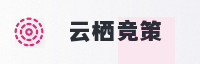 合作伙伴